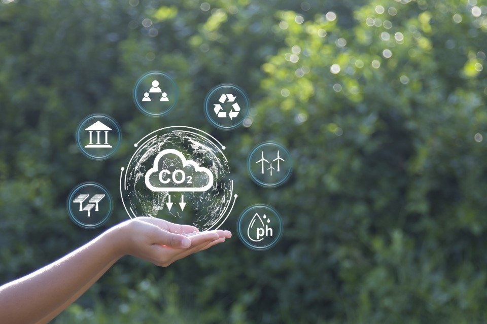 gestão de carbono